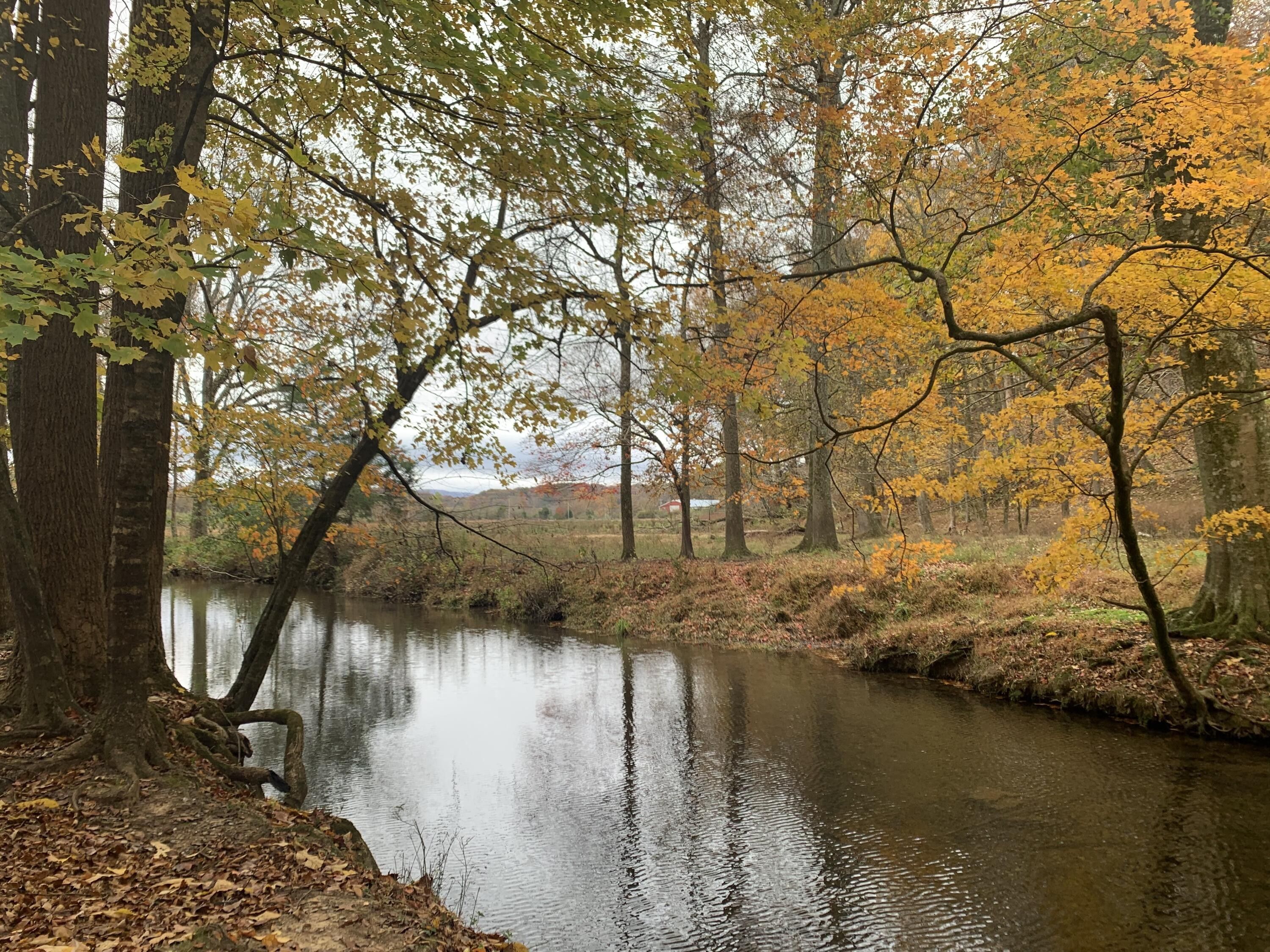 Rocky Face, Whitfield County, GA Farms and Ranches for sale Property ID