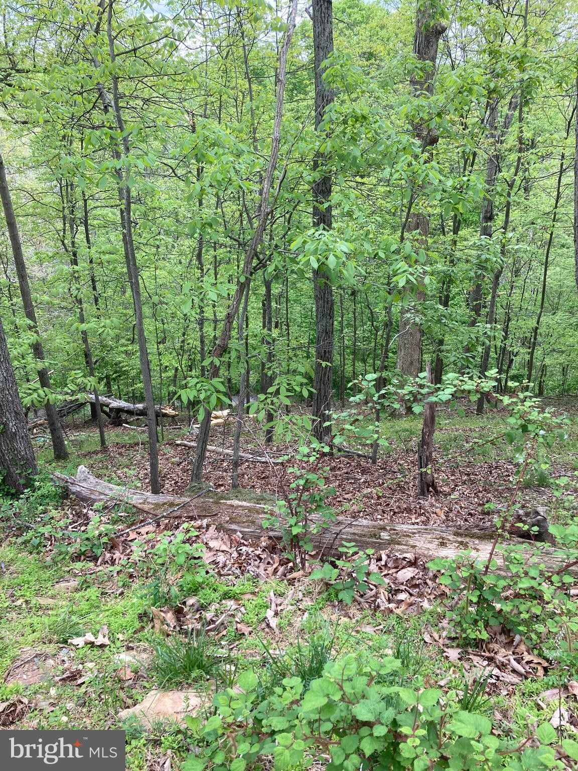 New Market, Frederick County, MD Undeveloped Land, Homesites for sale