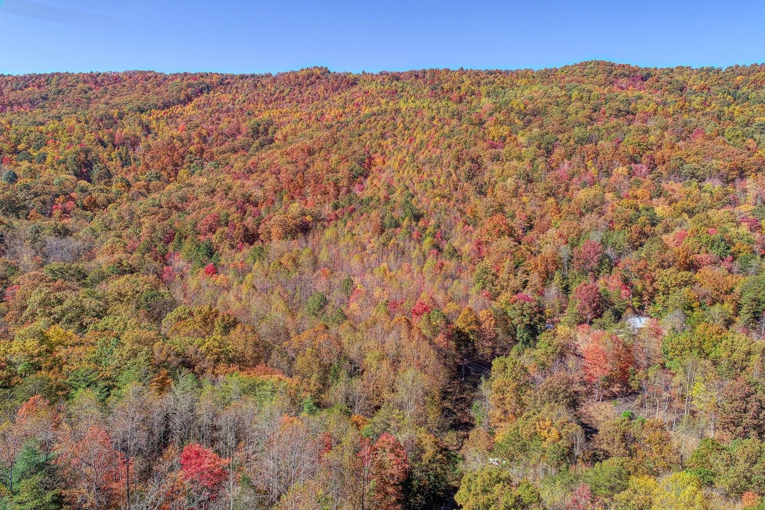 Tazewell, Claiborne County, TN Undeveloped Land for sale Property ID