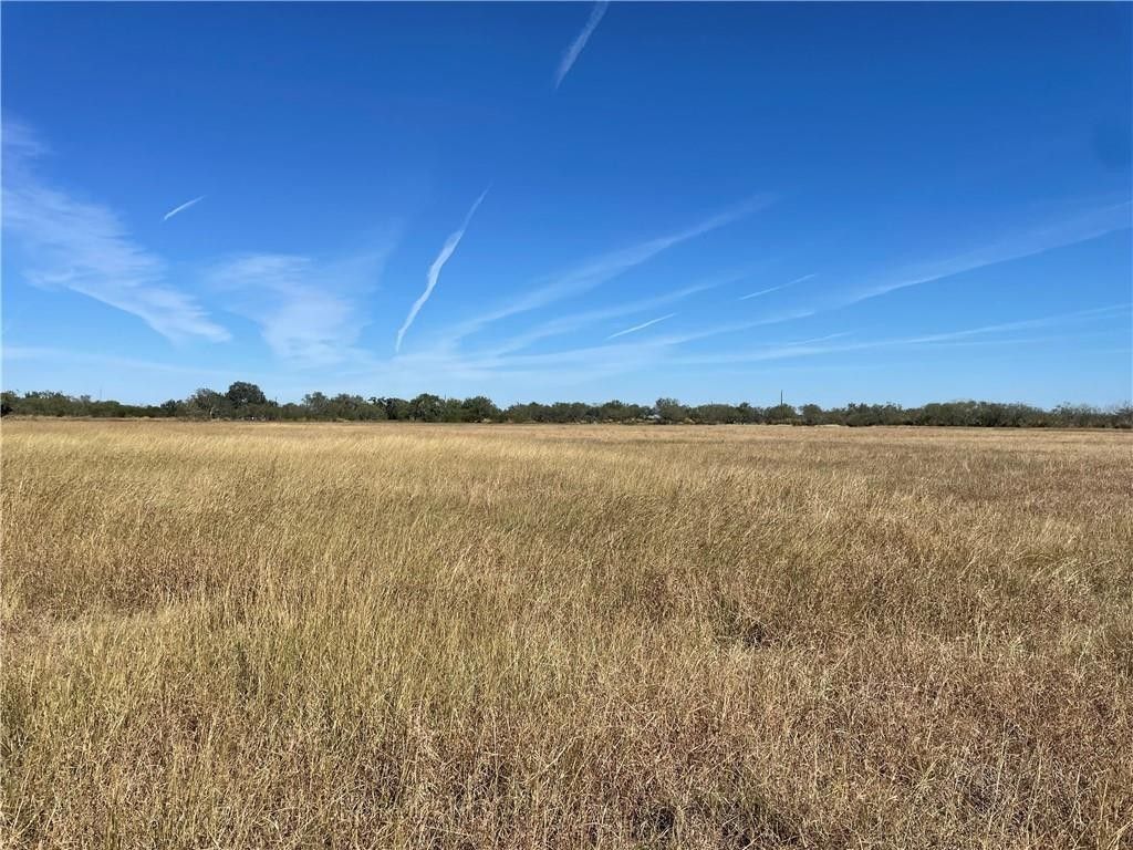 Skidmore, Bee County, TX Undeveloped Land for sale Property ID