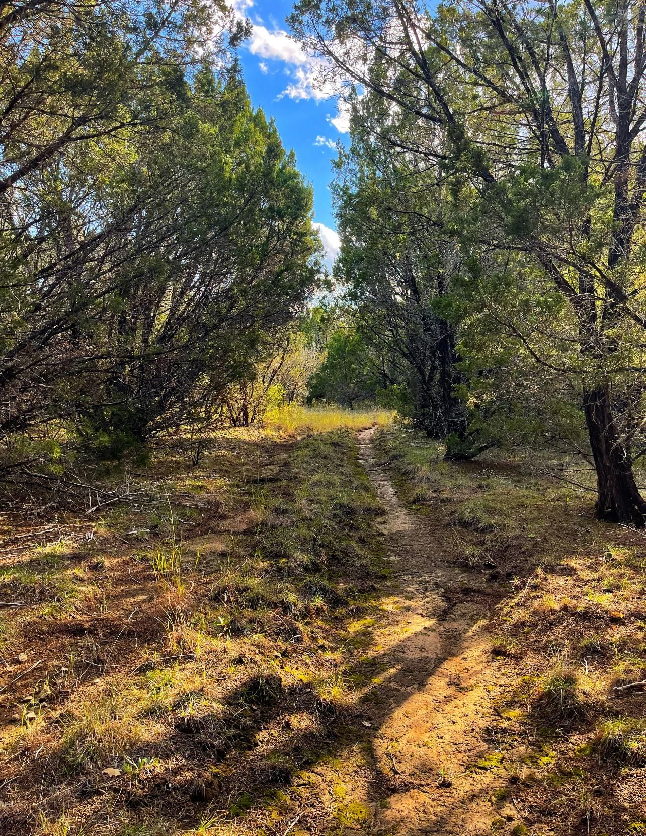 Iredell, Bosque County, TX Recreational Property, Undeveloped Land