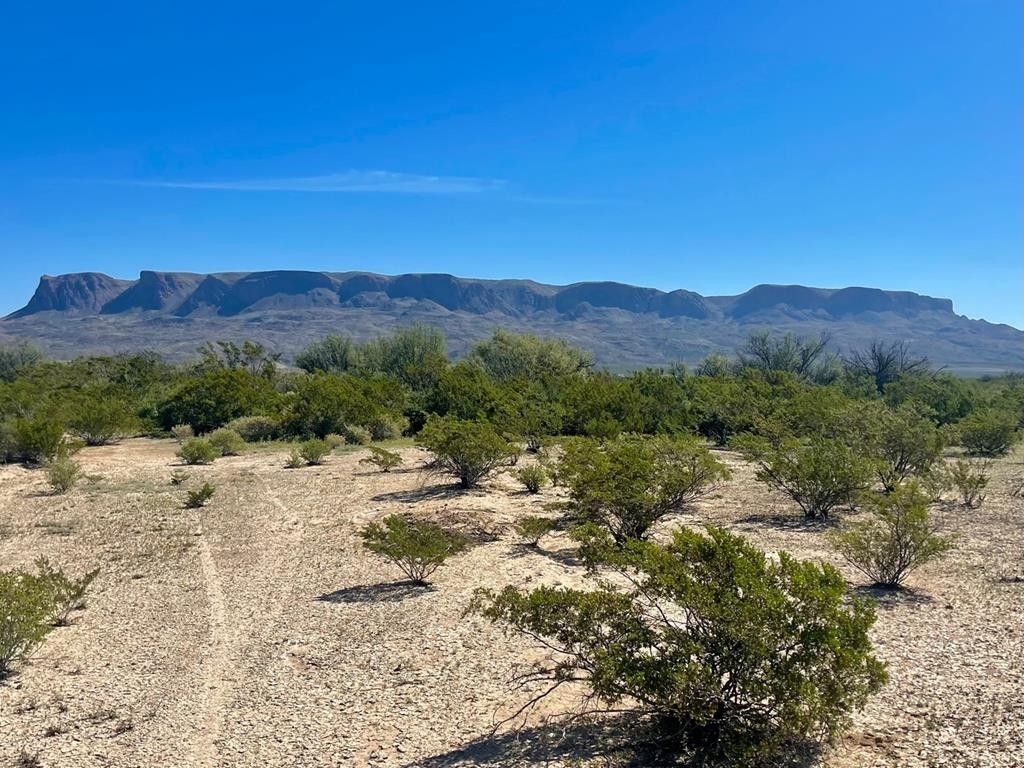 Terlingua, Brewster County, TX Undeveloped Land for sale Property ID