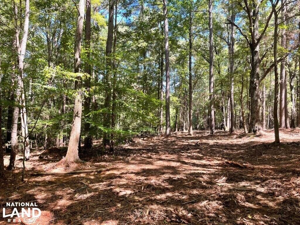 Huntingdon, Carroll County, TN Recreational Property, Undeveloped Land for sale Property ID