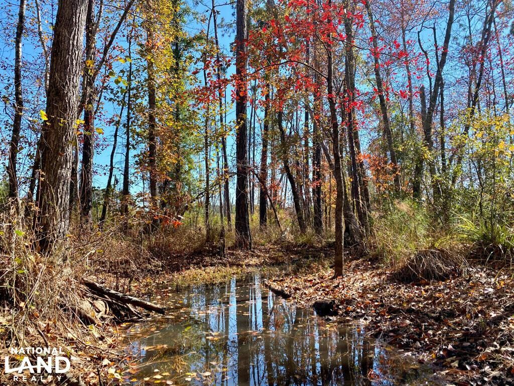 Dublin, Dodge County, GA Recreational Property, Timberland Property