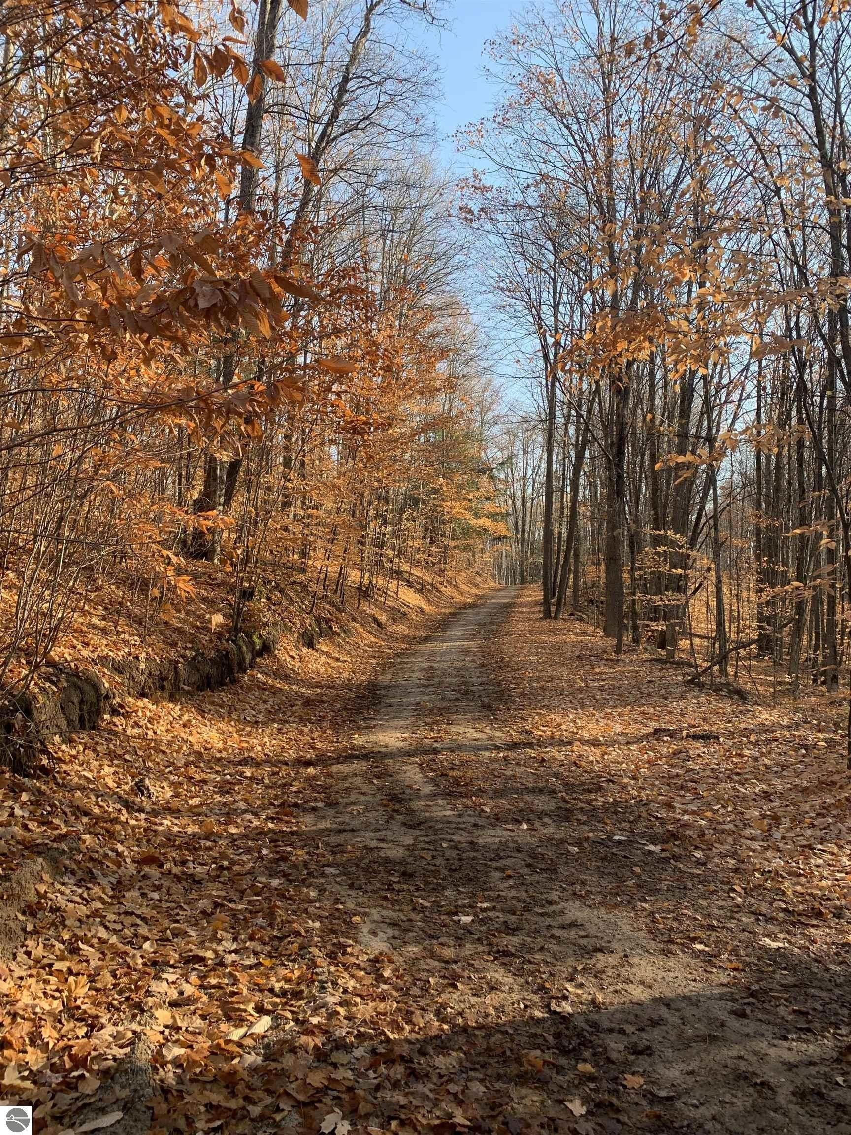 Mancelona, Antrim County, MI Undeveloped Land, Lakefront Property