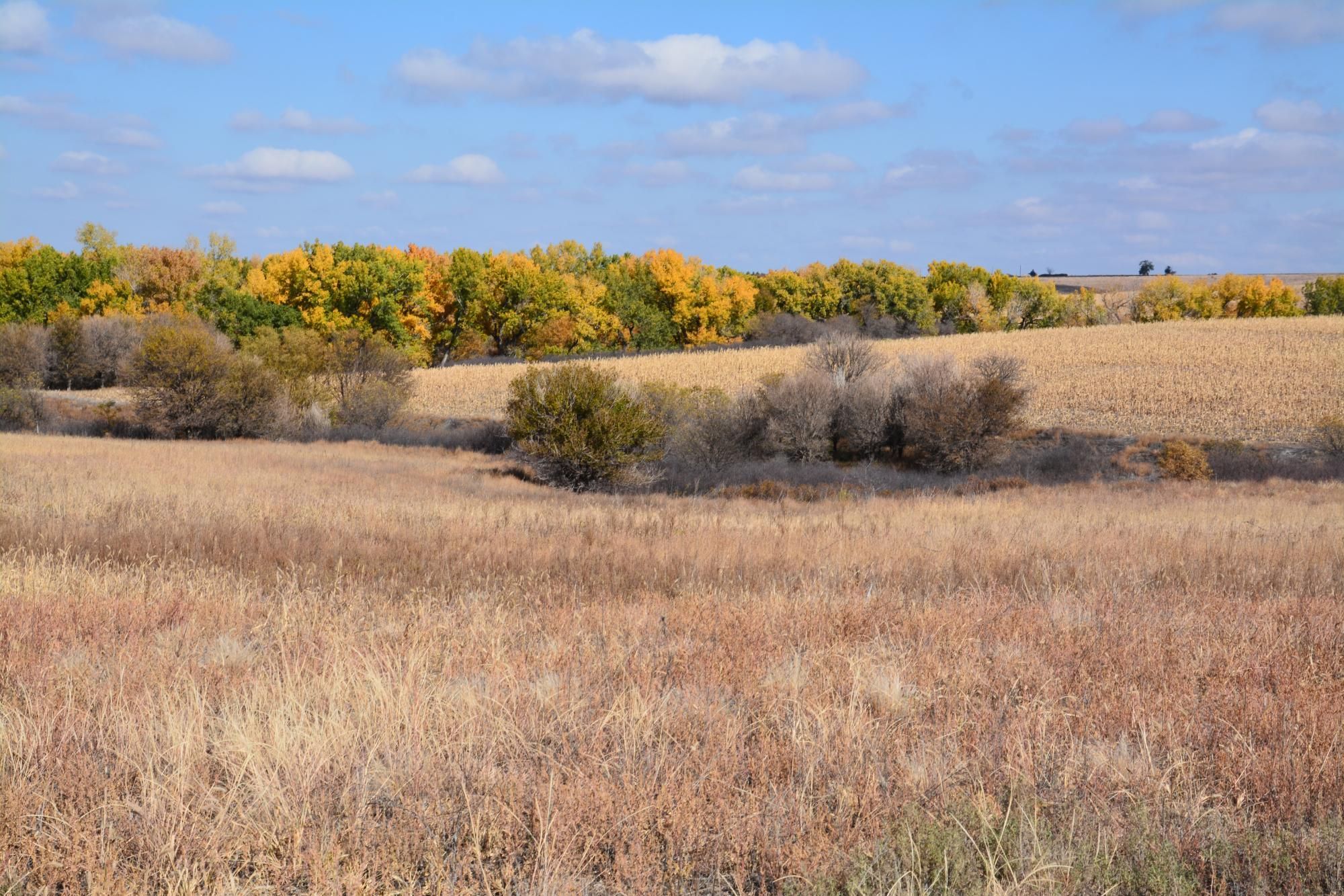 Penokee, Graham County, KS Farms and Ranches, Recreational Property