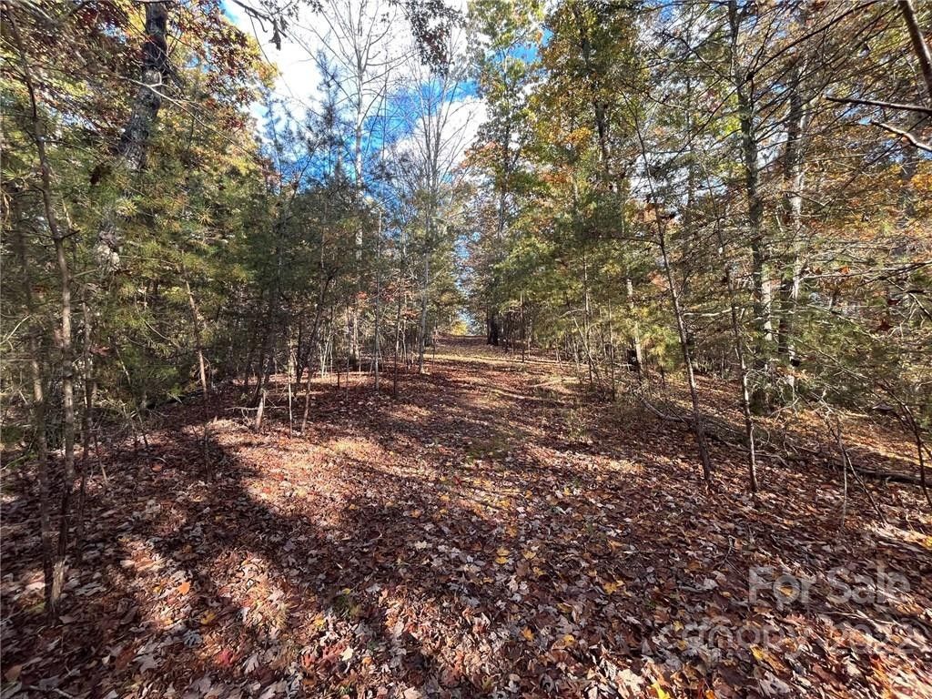 Mill Spring, Polk County, NC Undeveloped Land, Lakefront Property