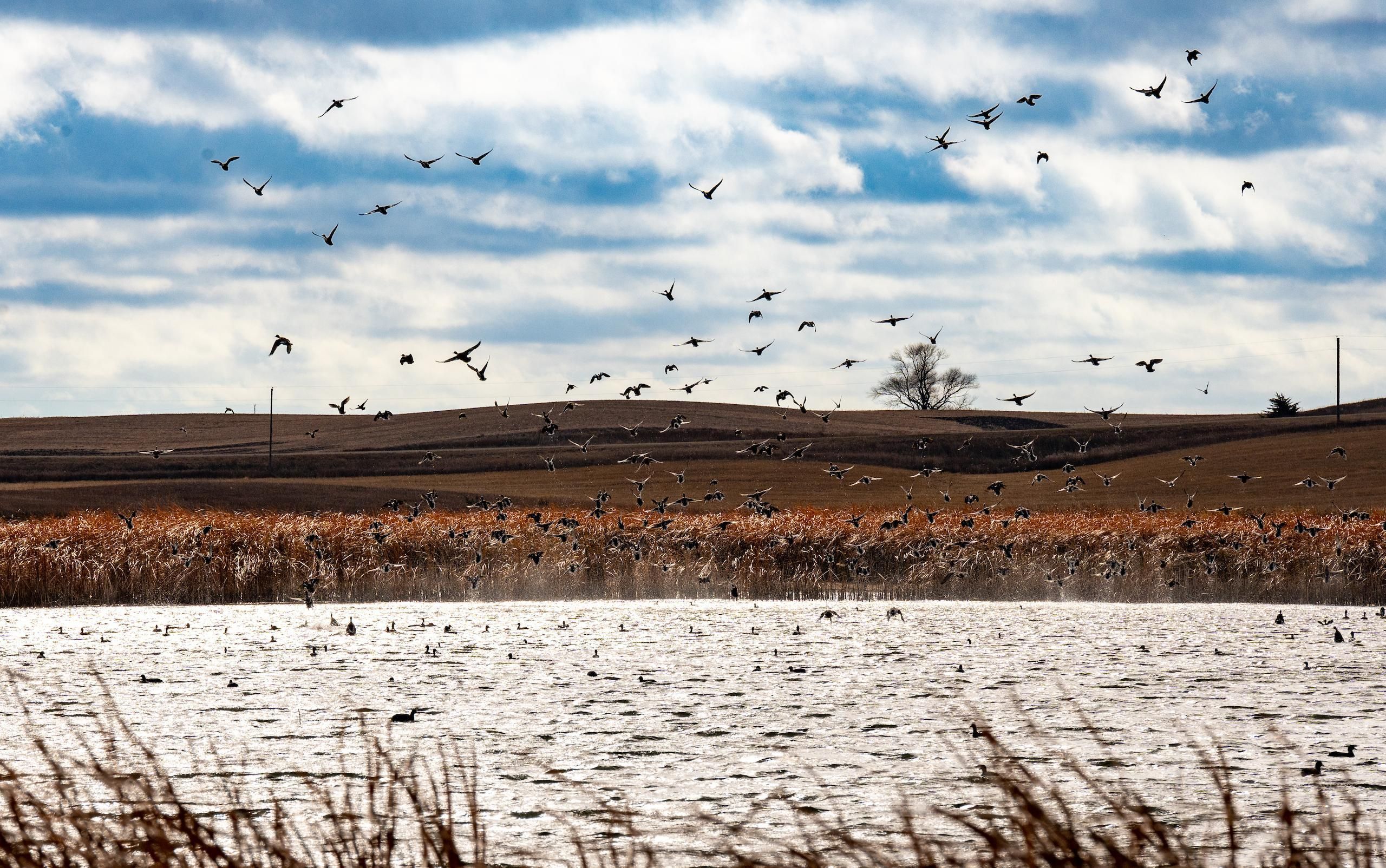 Webster, Day County, SD Recreational Property, Hunting Property