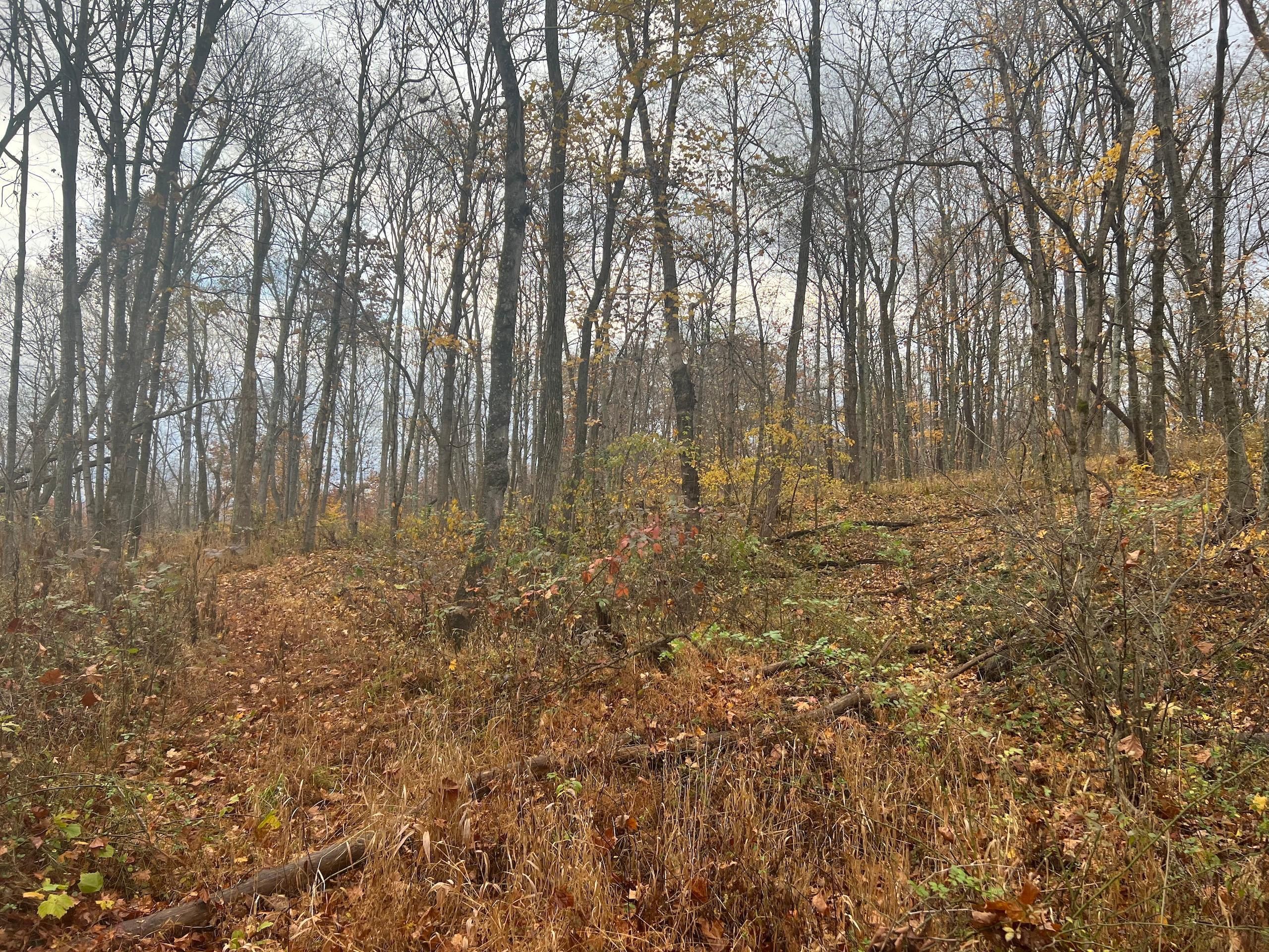 Gallipolis, Gallia County, OH Recreational Property, Timberland