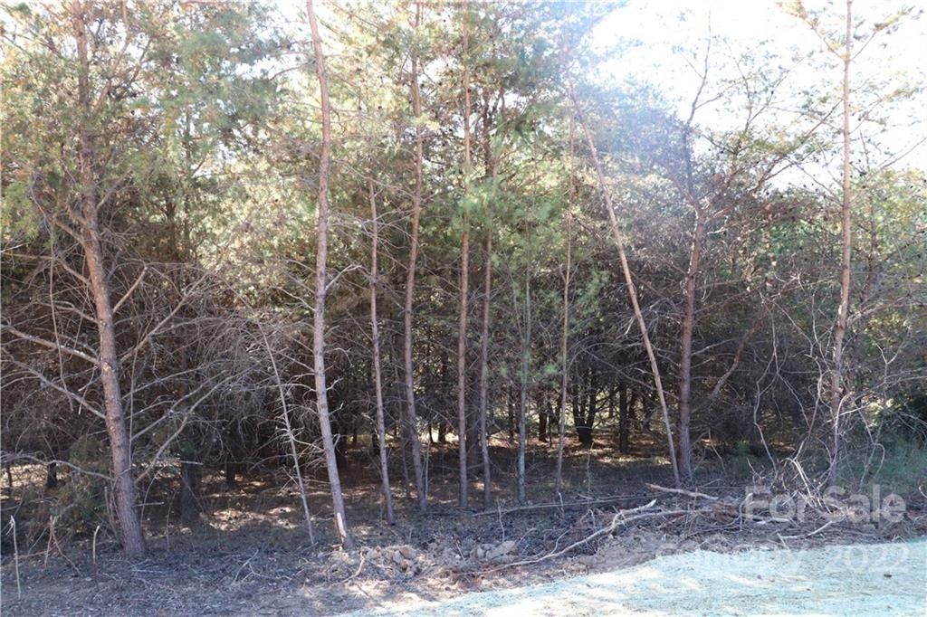 Marshall, Madison County, NC Farms and Ranches, Homesites for sale