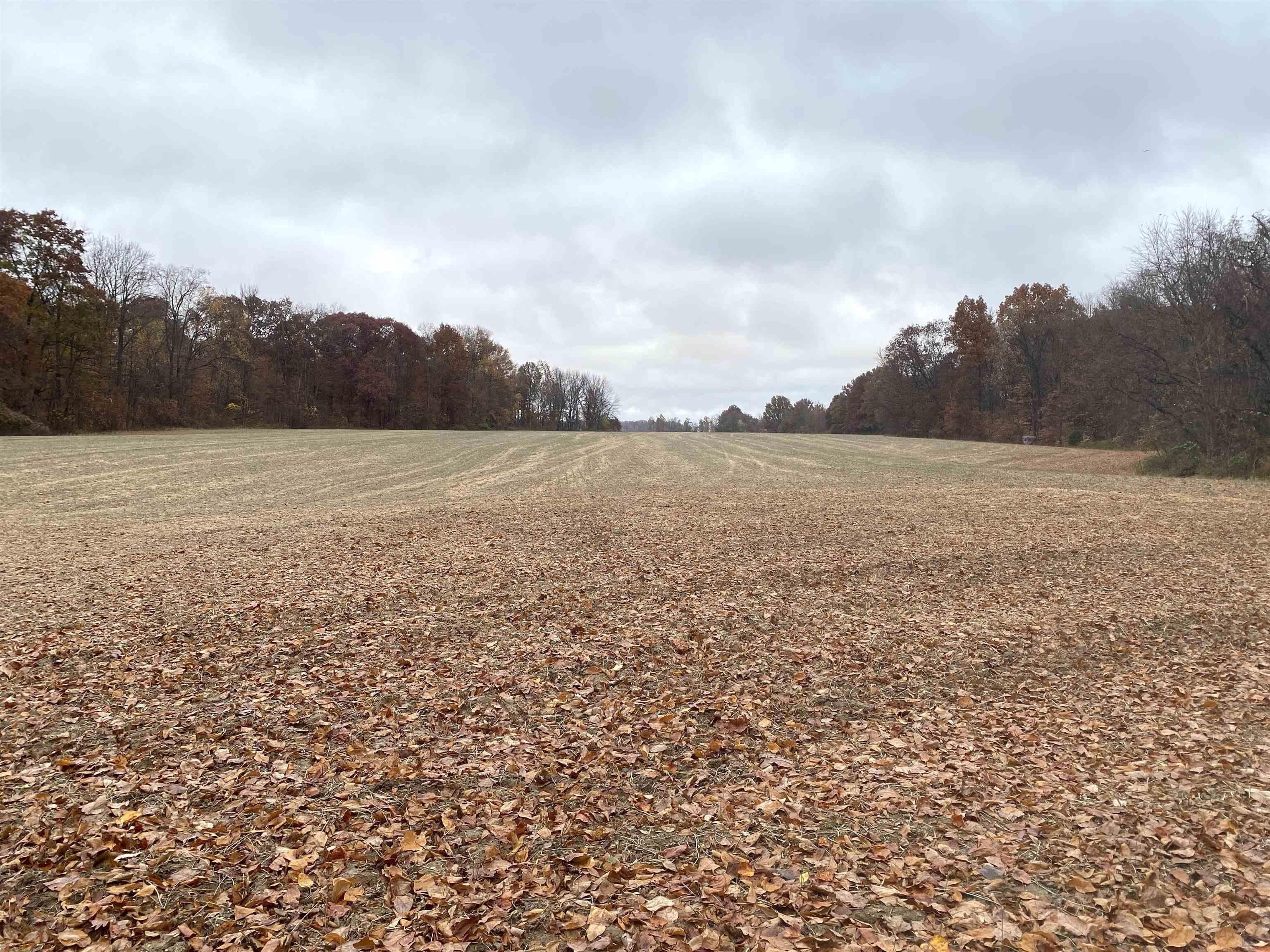 Clay City, Clay County, IN Undeveloped Land for sale Property ID
