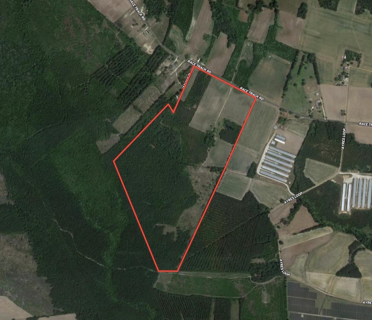 Nichols, Dillon County, SC Recreational Property, Timberland Property