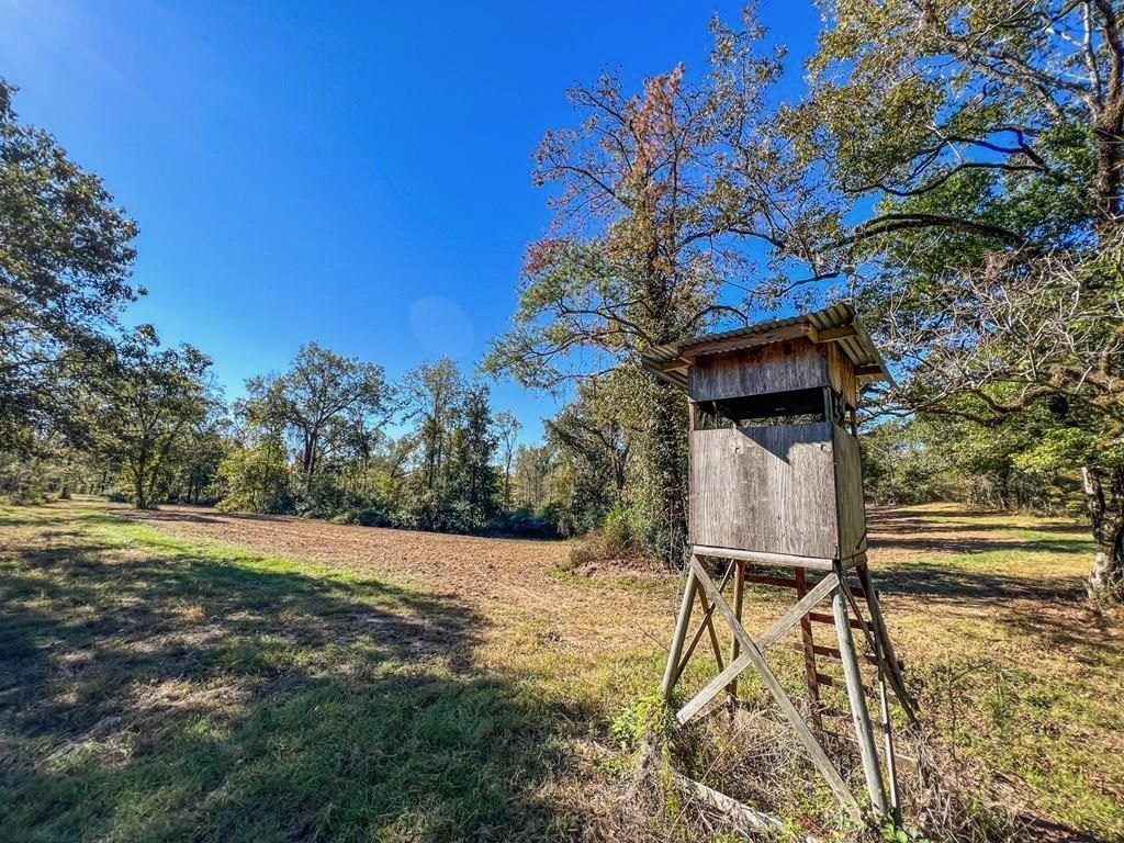 4232 Donegal Road, Woodville, MS 39669 LandWatch