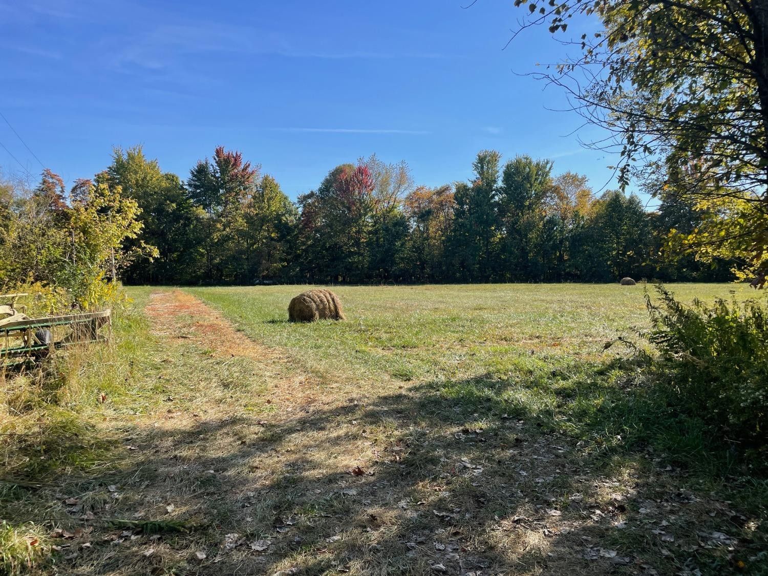 Milan, Ripley County, IN Undeveloped Land for sale Property ID