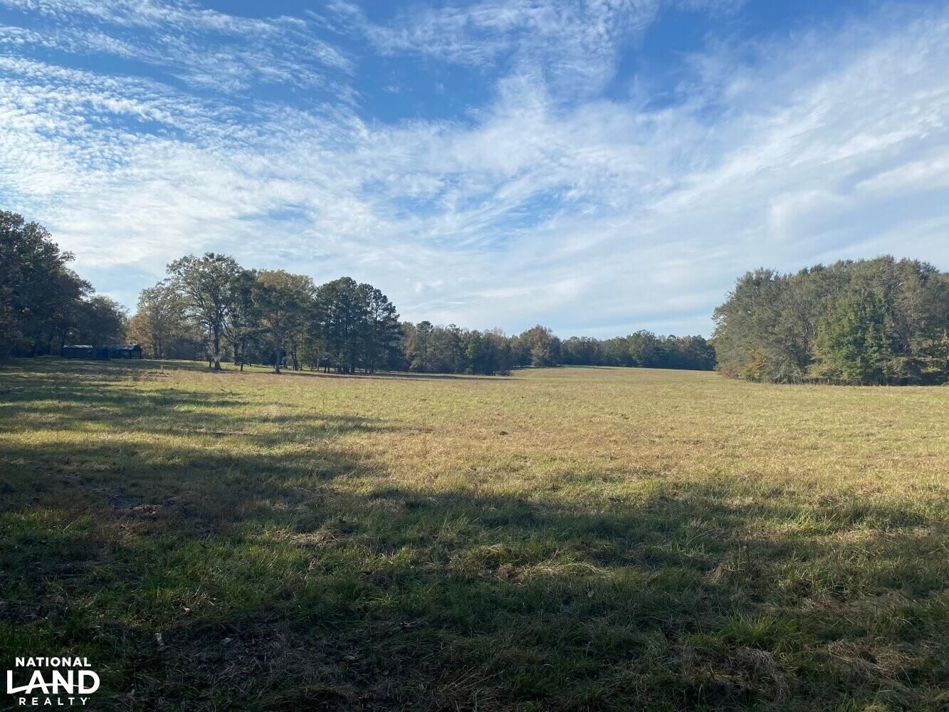 Mathews, Montgomery County, AL Recreational Property, Timberland