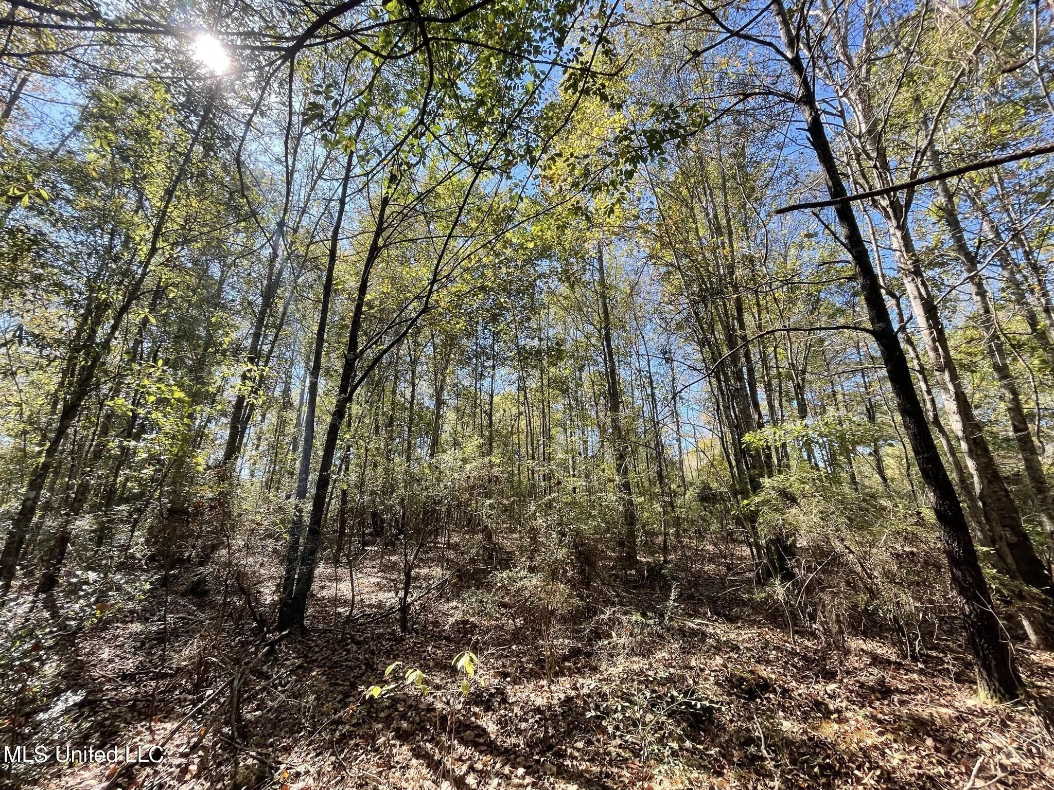 Taylorsville, Smith County, MS Farms and Ranches for sale Property ID