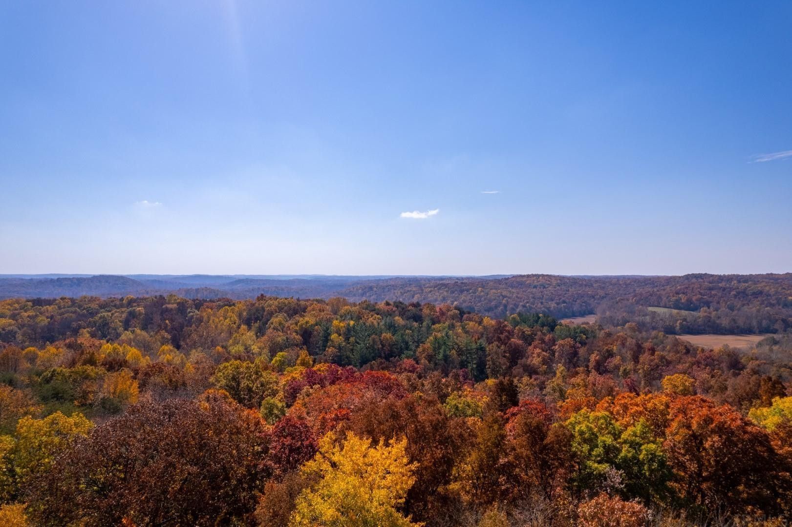 Shoals, Martin County, IN Undeveloped Land for sale Property ID