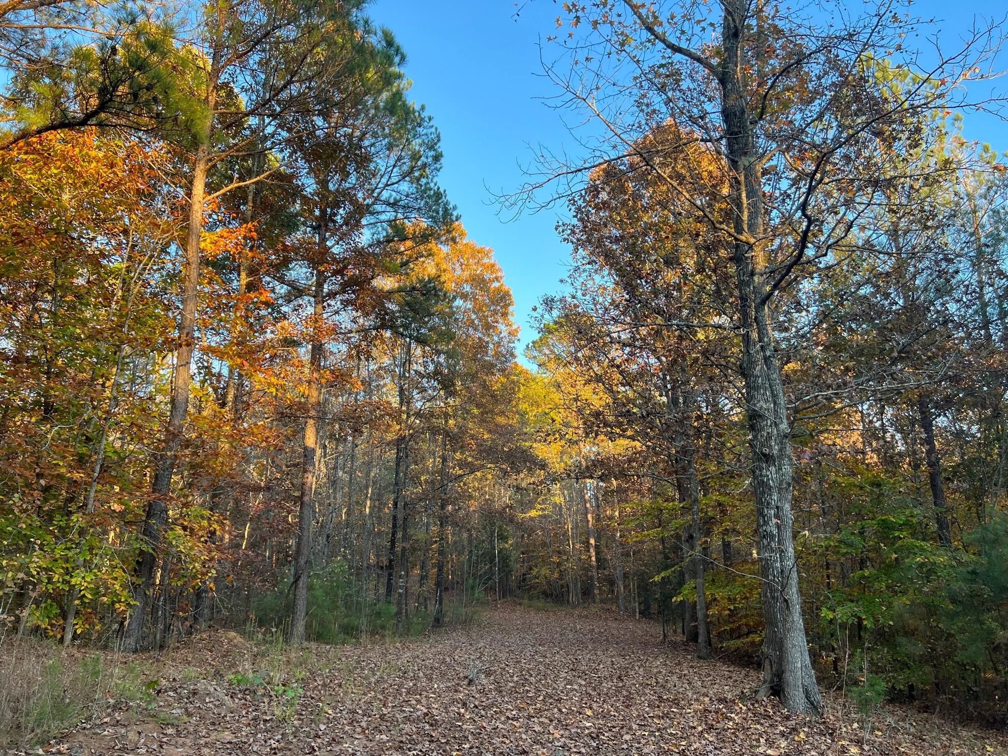 Hornsby, Hardeman County, TN Farms and Ranches, Recreational Property