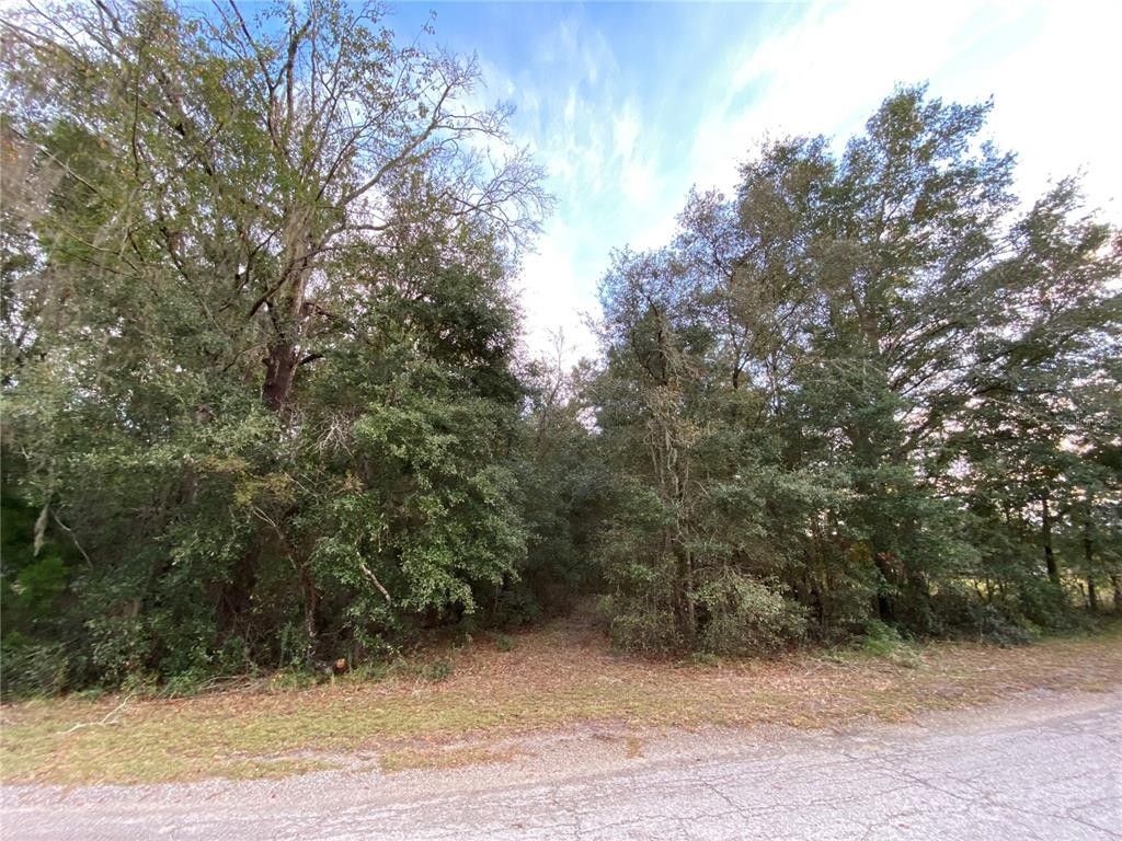 High Springs, Gilchrist County, FL Undeveloped Land, Homesites for sale Property ID 415208152