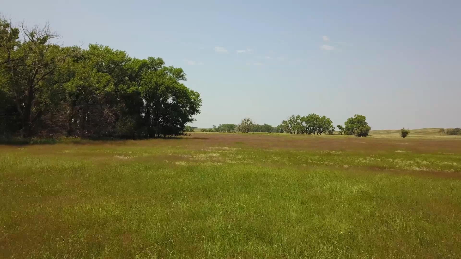 Bassett, Rock County, NE Farms and Ranches, Undeveloped Land for sale