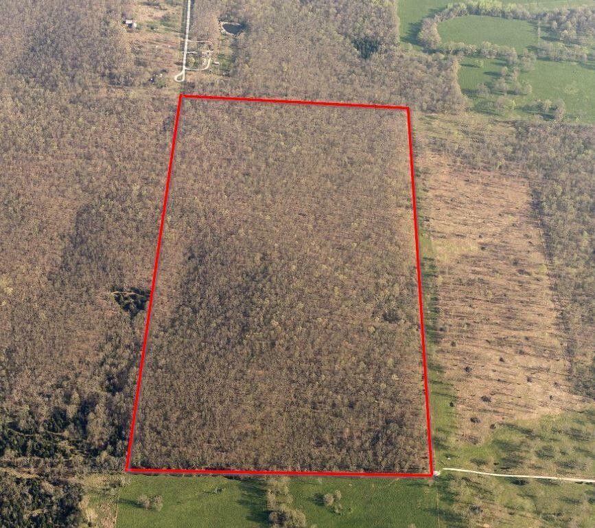 Humansville, Polk County, MO Undeveloped Land for sale Property ID