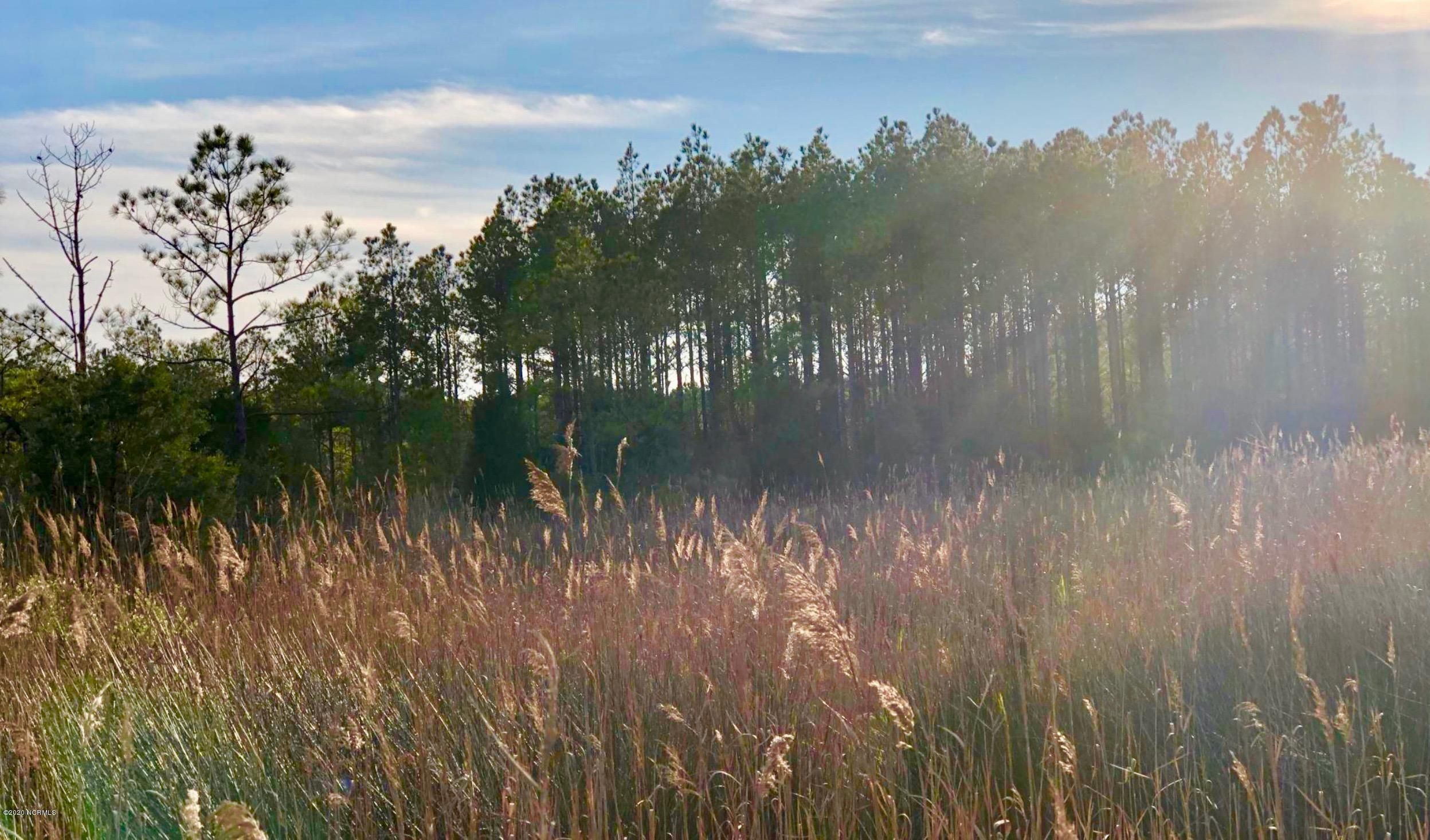 729 Hodges Rd, Scranton, NC 27875 MLS 100198845 LandWatch