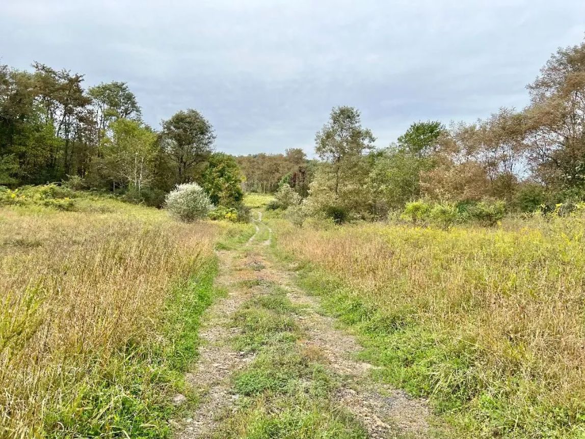 Buckhannon, Upshur County, WV Recreational Property, Hunting Property