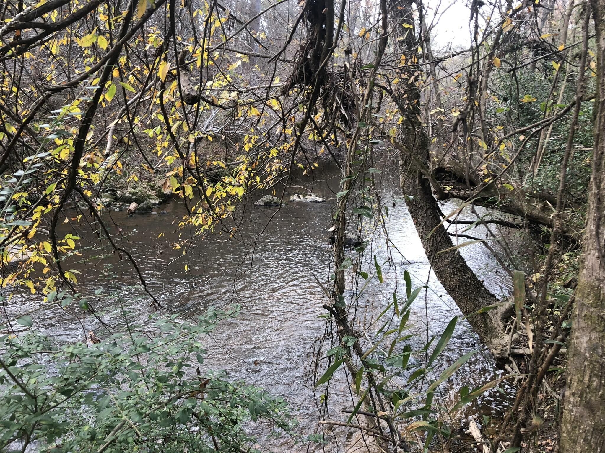 Edgefield, Edgefield County, SC Undeveloped Land for sale Property ID