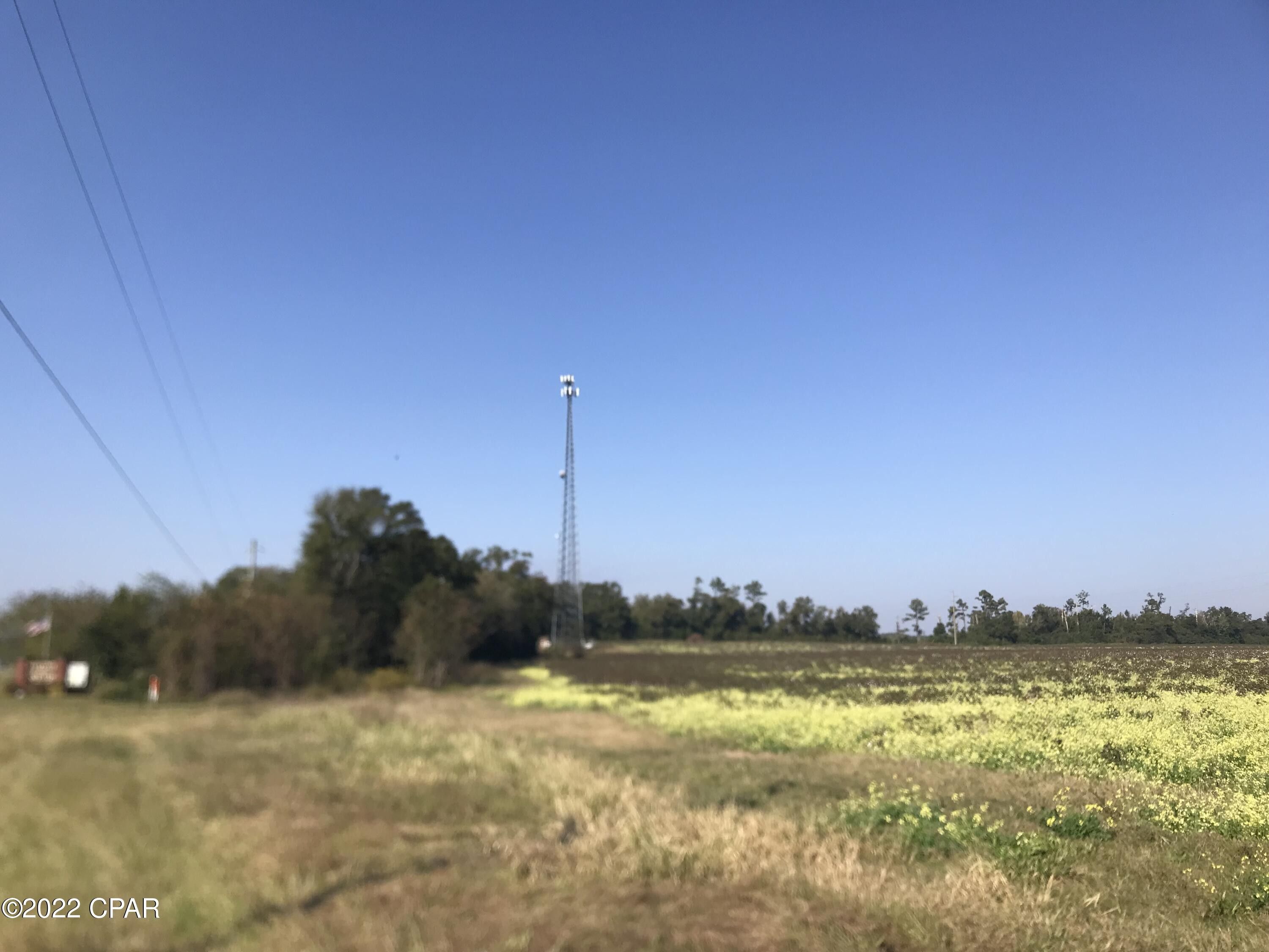 Sneads, Jackson County, FL Undeveloped Land for sale Property ID