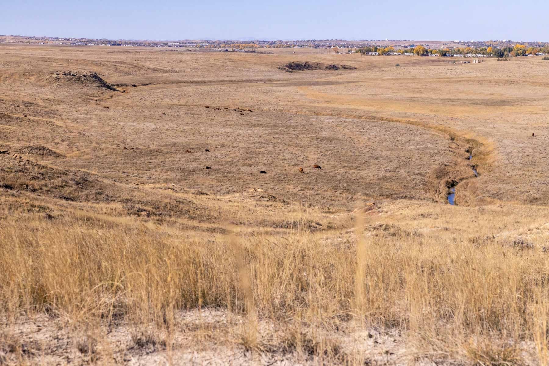 Gillette, Campbell County, WY Farms and Ranches, Recreational Property