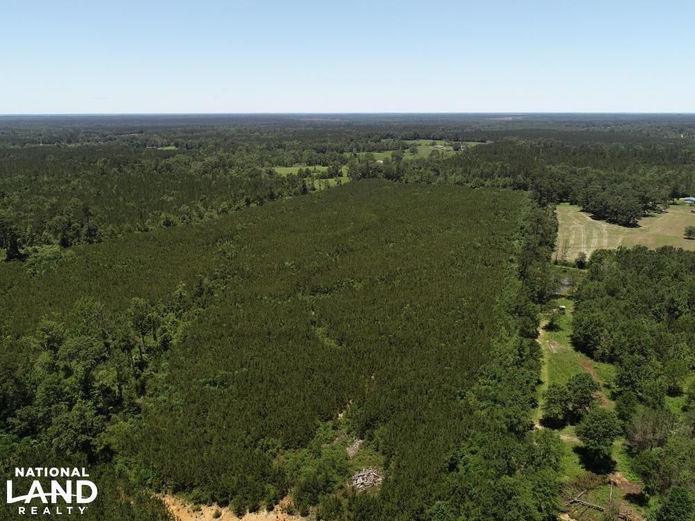 Greensburg, Saint Helena Parish, LA Recreational Property, Timberland Property, Hunting Property