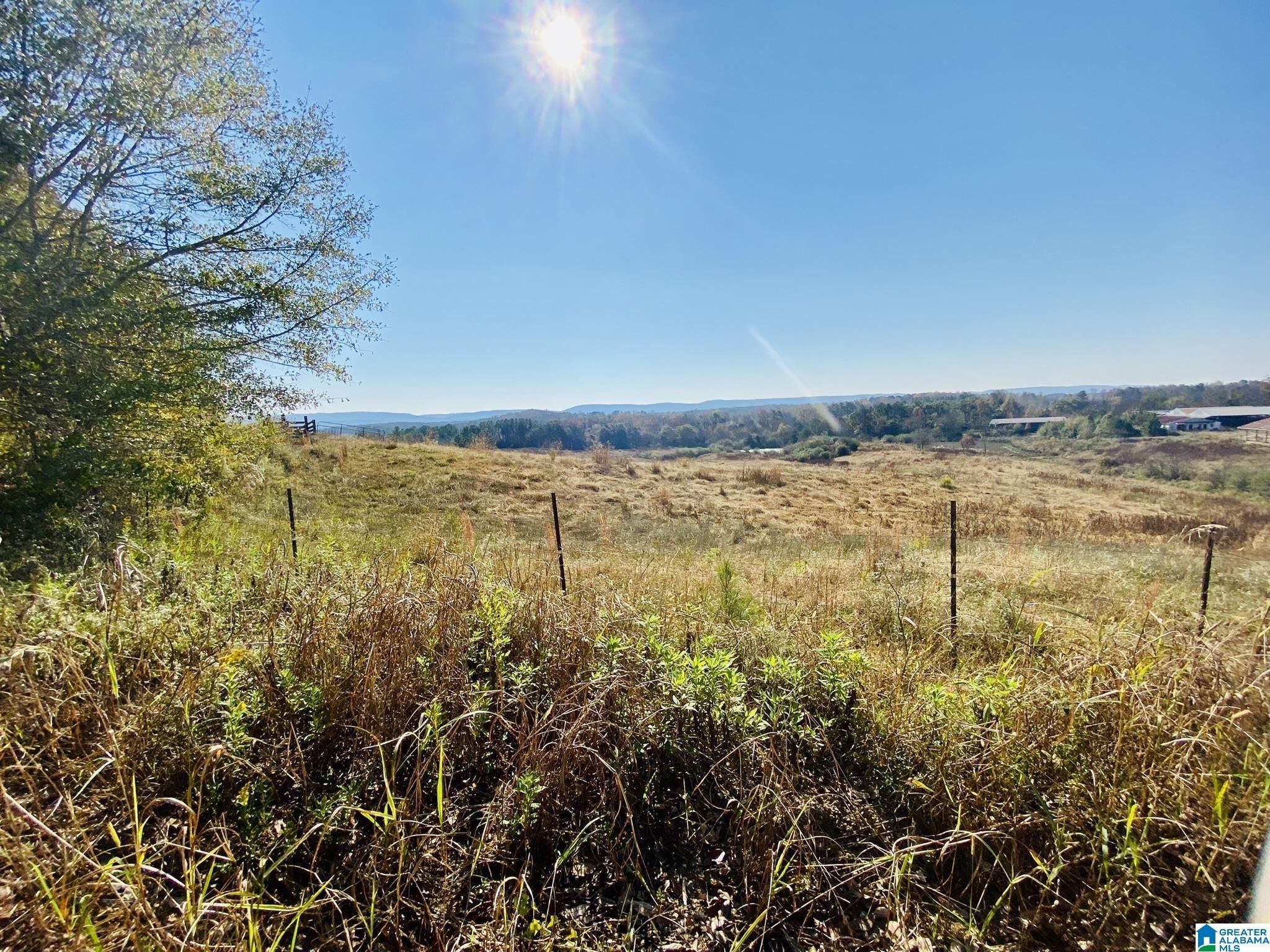 Cleveland, Blount County, AL Undeveloped Land for sale Property ID