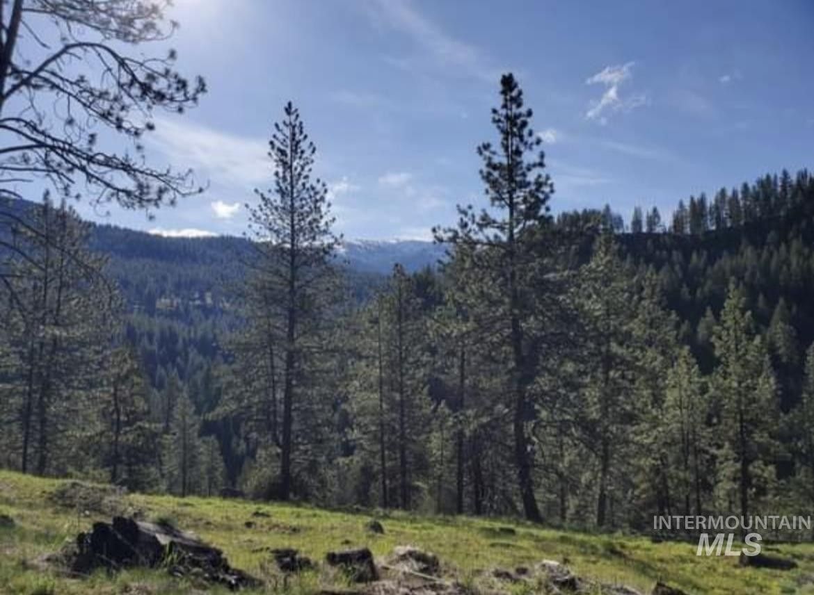 New Meadows, Idaho County, ID Undeveloped Land for sale Property ID