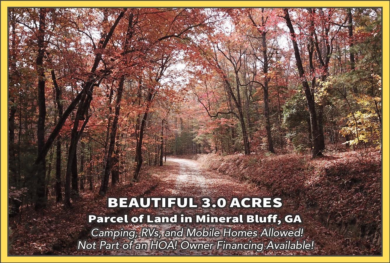 Mineral Bluff, Fannin County, GA Undeveloped Land, Homesites for sale