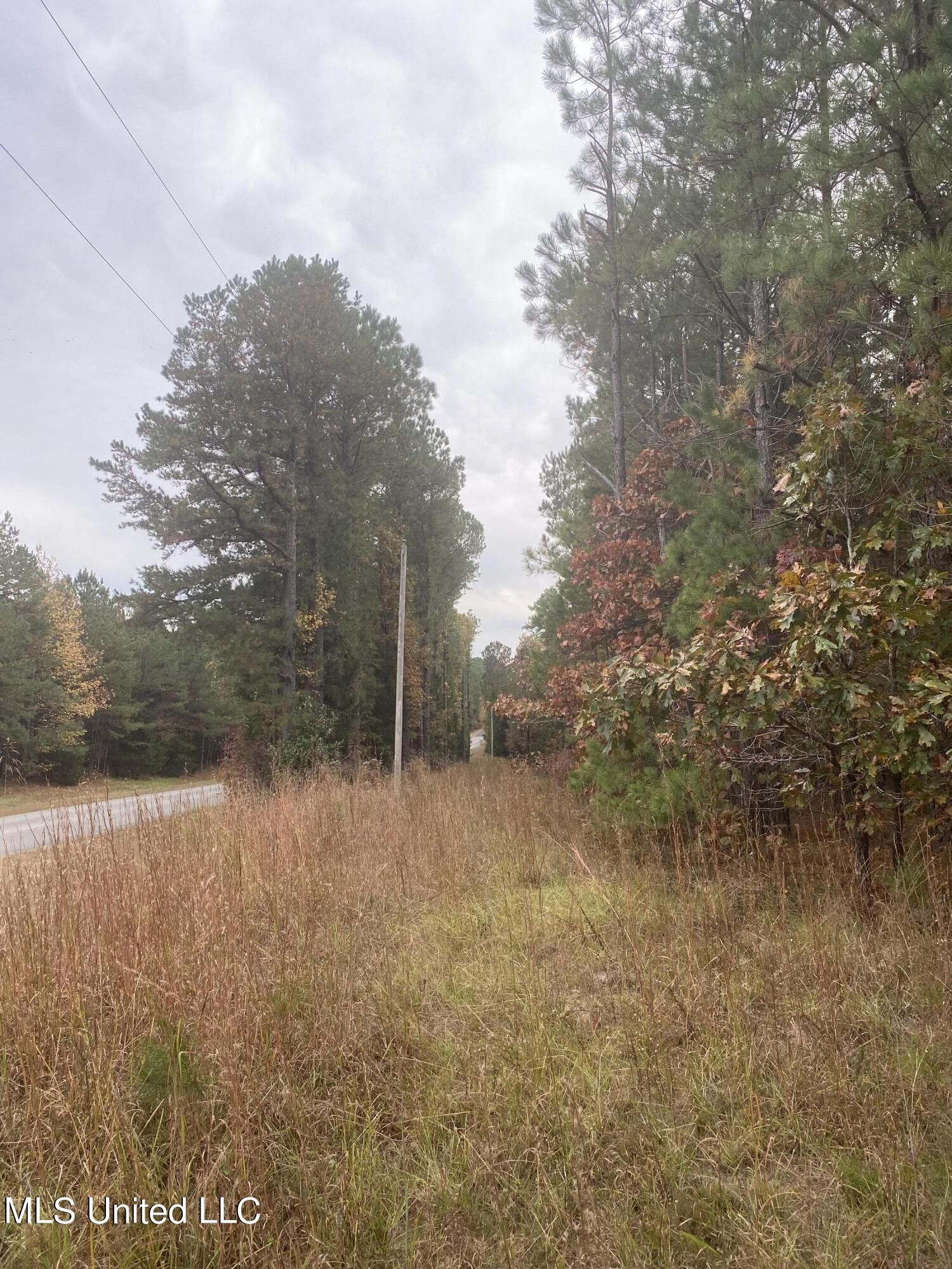 Ackerman, Choctaw County, MS Undeveloped Land for sale Property ID