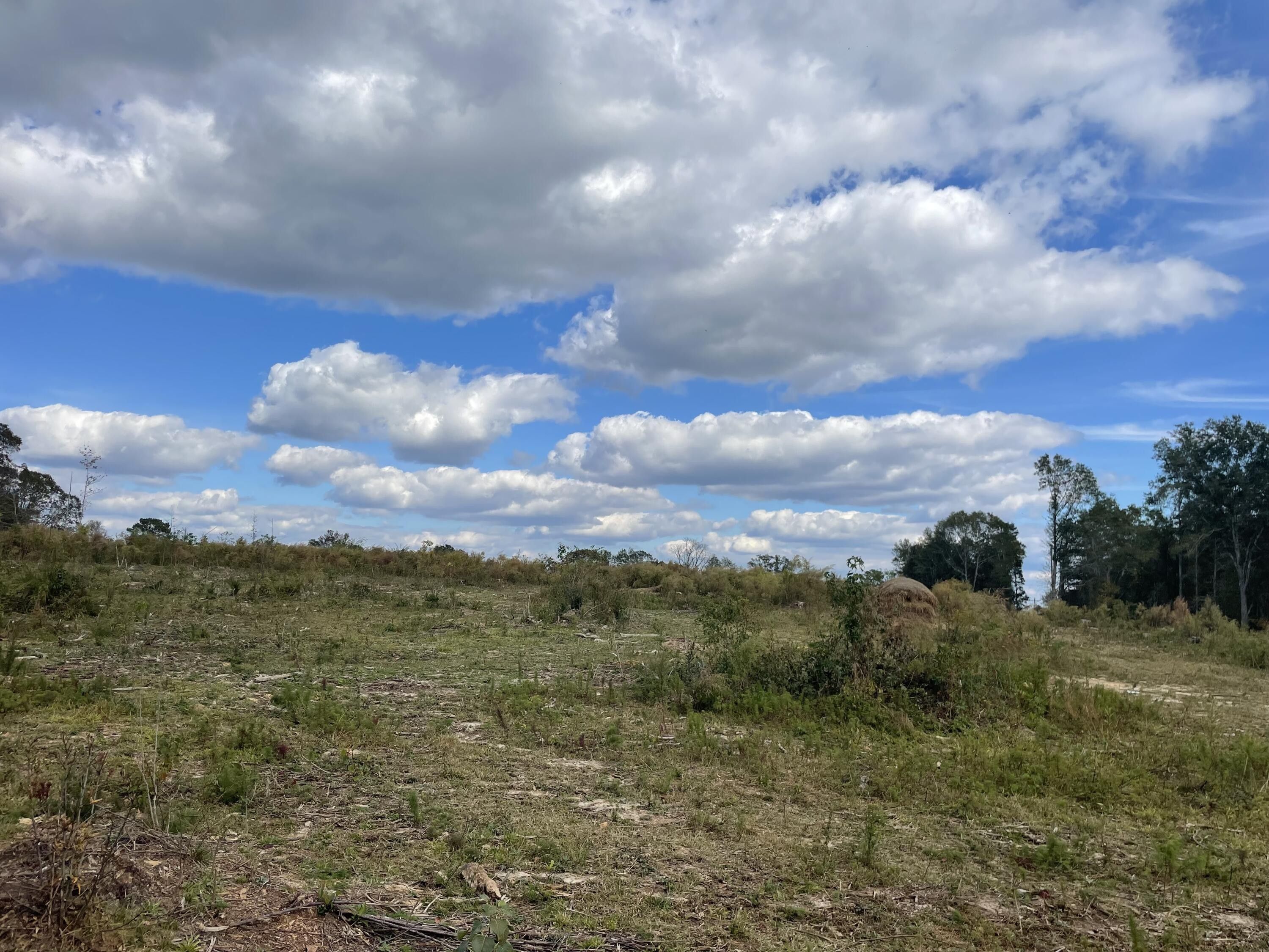 Bassfield, Jefferson Davis County, MS Farms and Ranches for sale