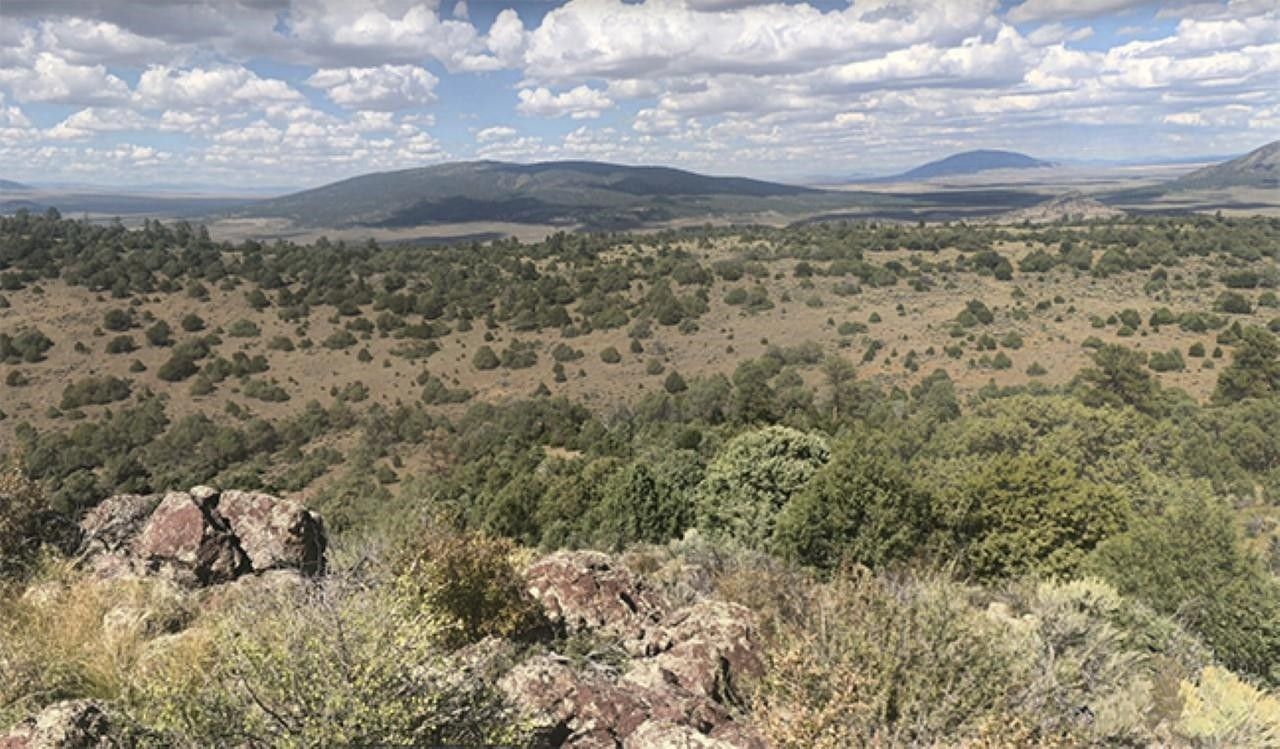 El Prado, Taos County, NM Undeveloped Land for sale Property ID