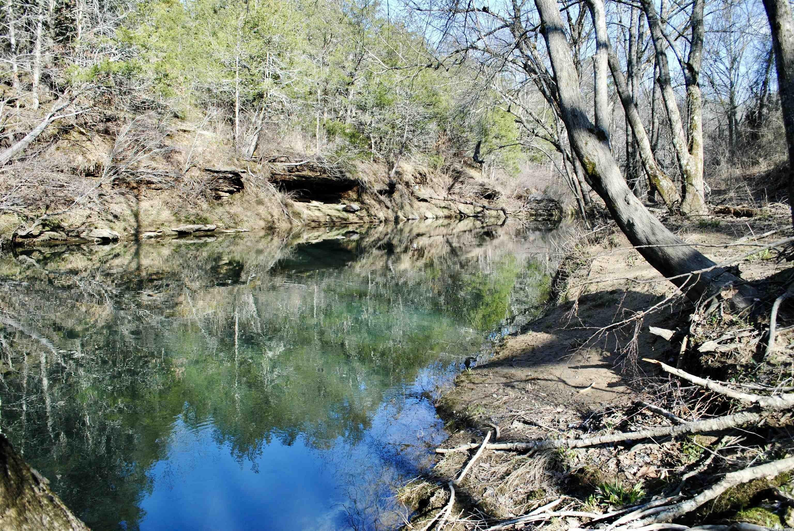 Damascus, Van Buren County, AR Undeveloped Land for sale Property ID