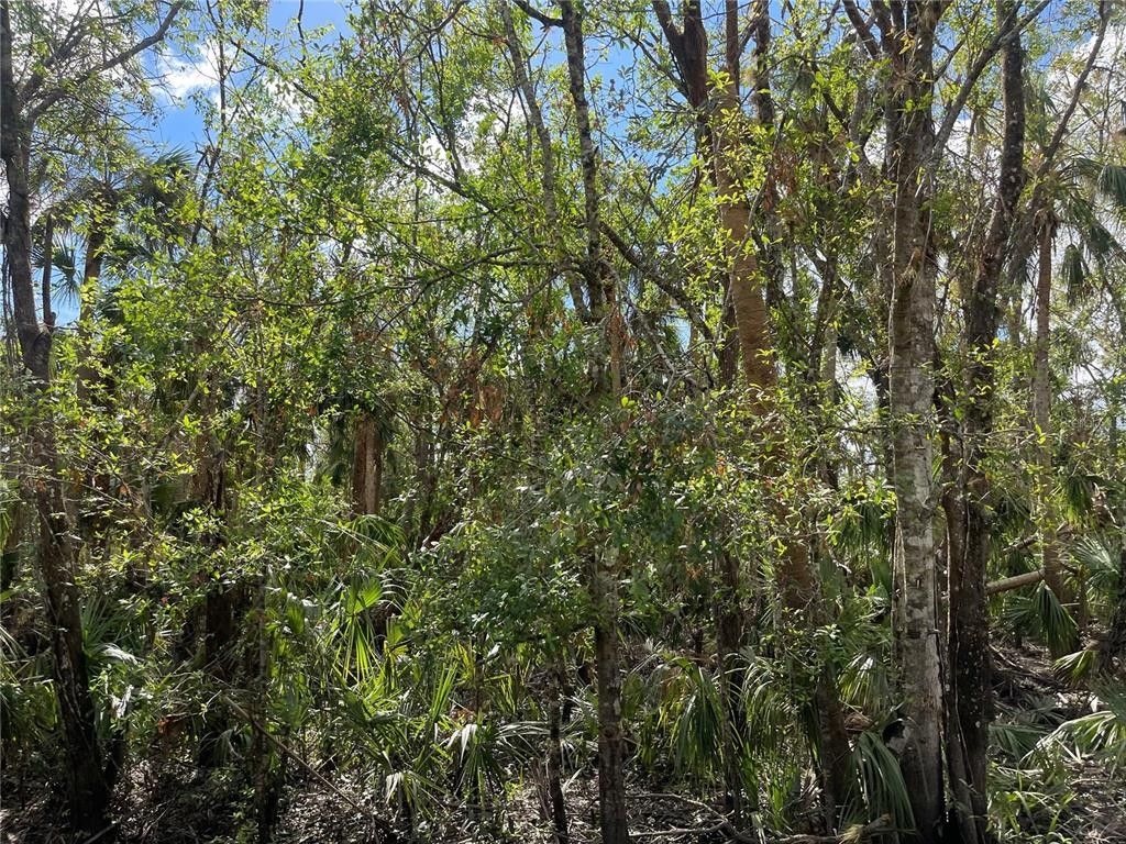 Arcadia, DeSoto County, FL Farms and Ranches, Homesites for sale