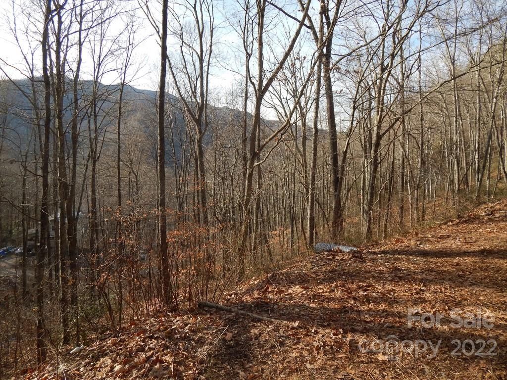 Canton, Haywood County, NC Undeveloped Land, Homesites for sale Property ID 413598909 LandWatch