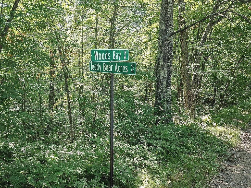 Outing, Cass County, MN Undeveloped Land for sale Property ID