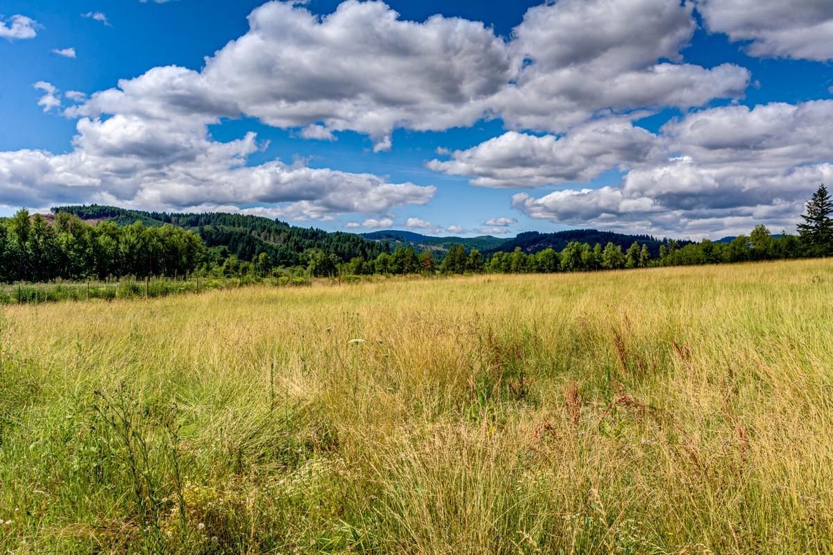 Sheridan, Yamhill County, OR Farms and Ranches for sale Property ID