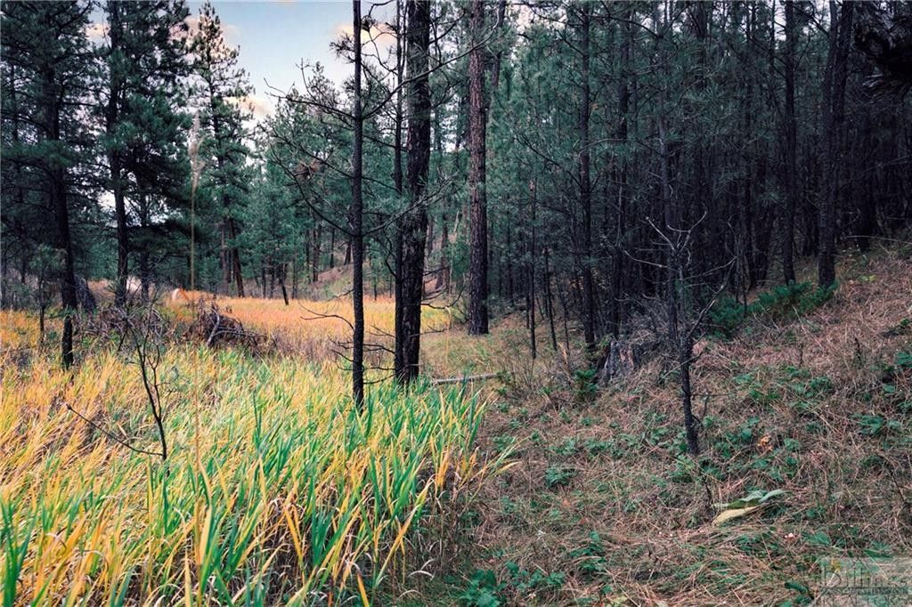 Roundup, Musselshell County, MT Undeveloped Land for sale Property ID