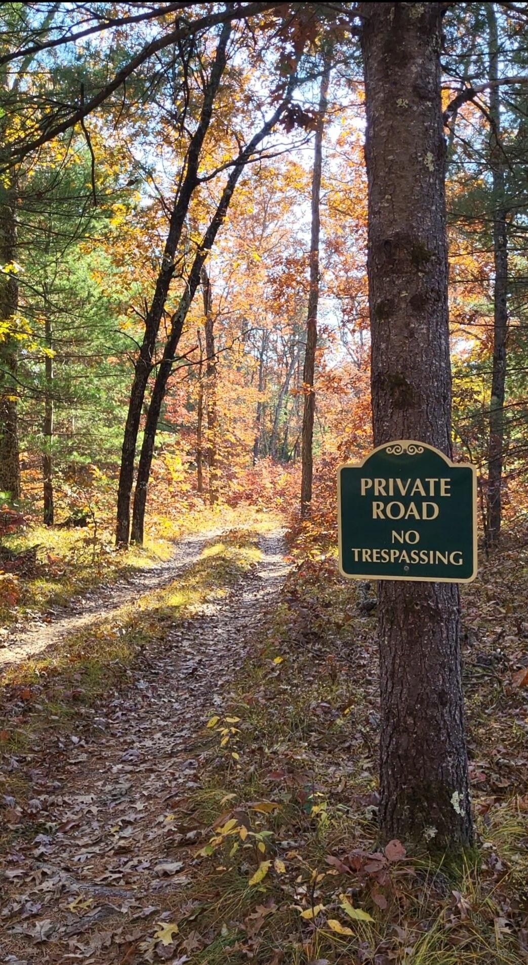 Manistee, Manistee County, MI Undeveloped Land for sale Property ID