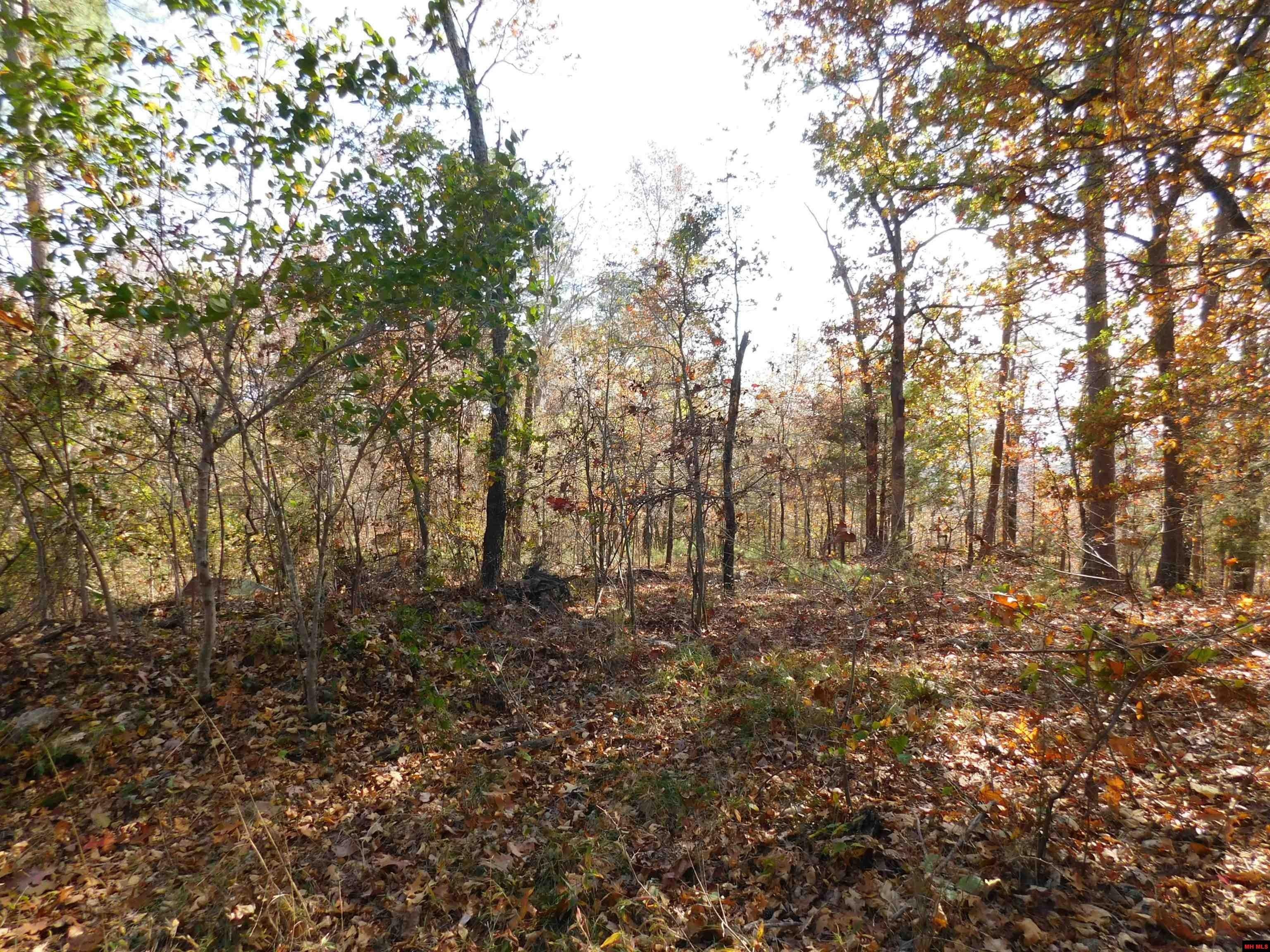Yellville, Marion County, AR Undeveloped Land, Homesites for sale