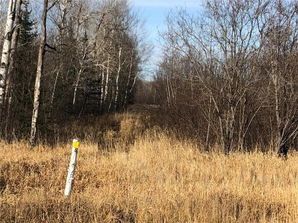 Nashwauk, Itasca County, MN Undeveloped Land for sale Property ID