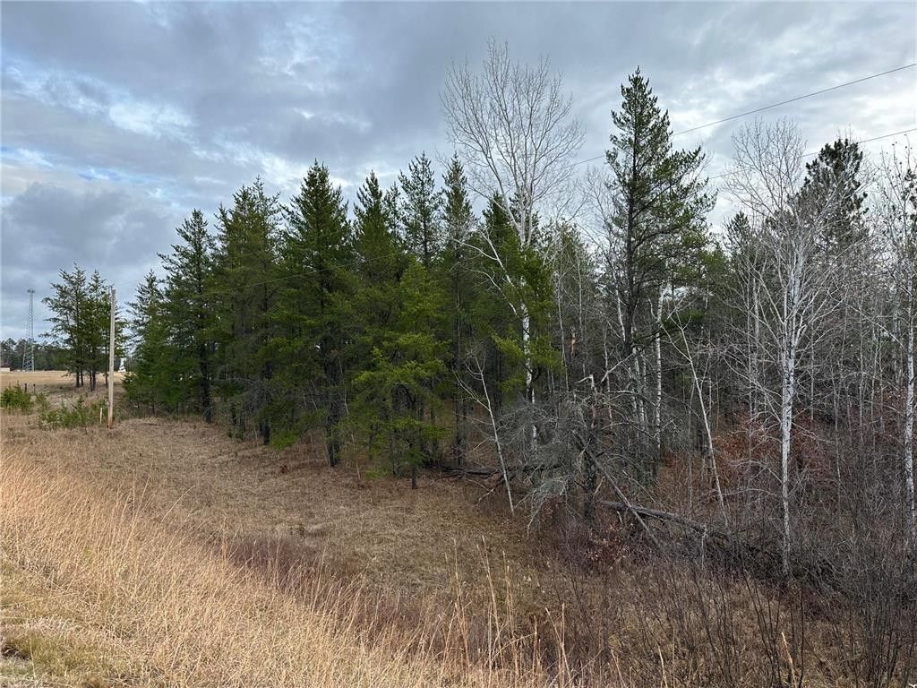 Sturgeon Lake, Pine County, MN Undeveloped Land for sale Property ID