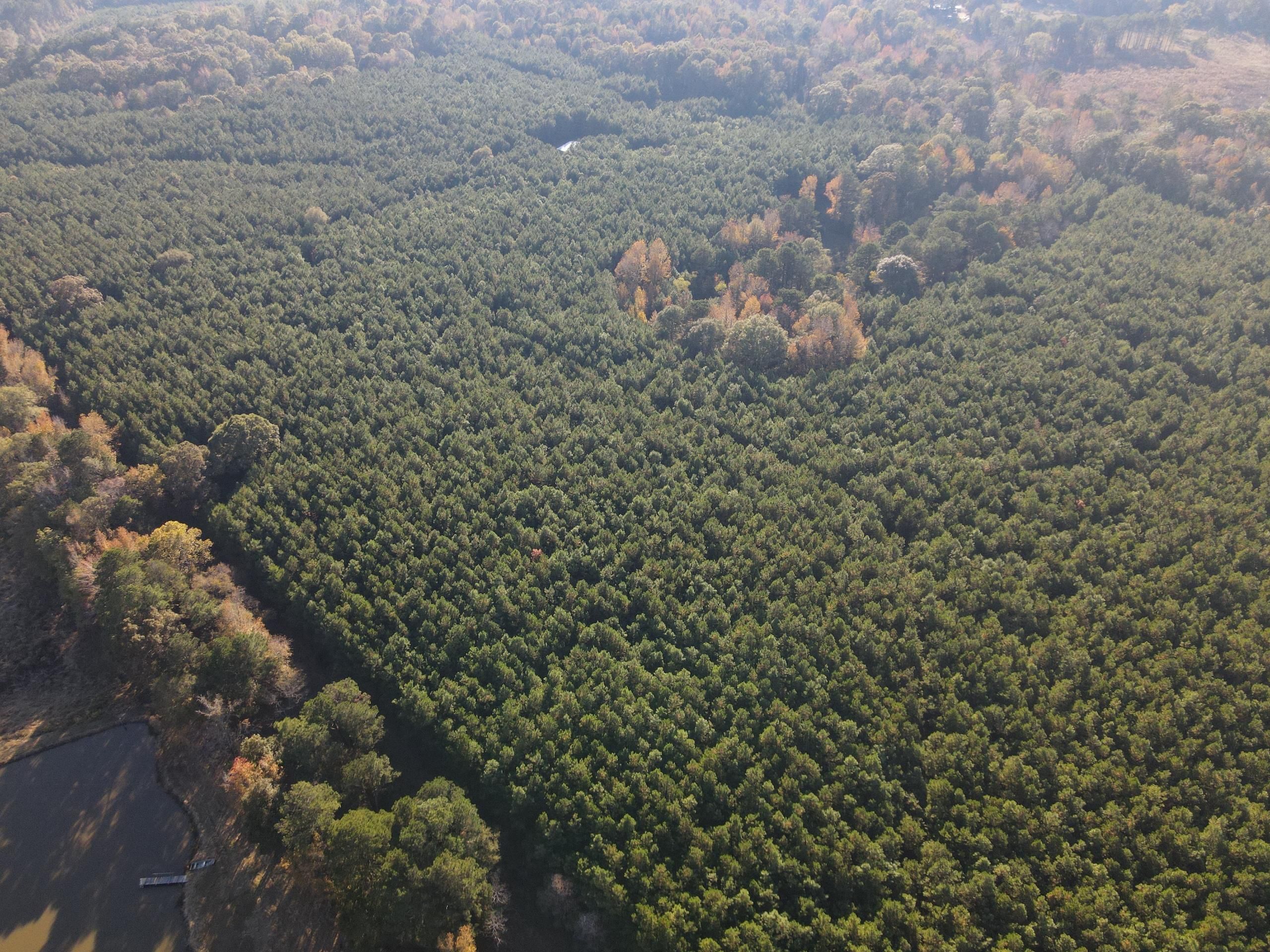 Spearsville, Union Parish, LA Recreational Property, Timberland