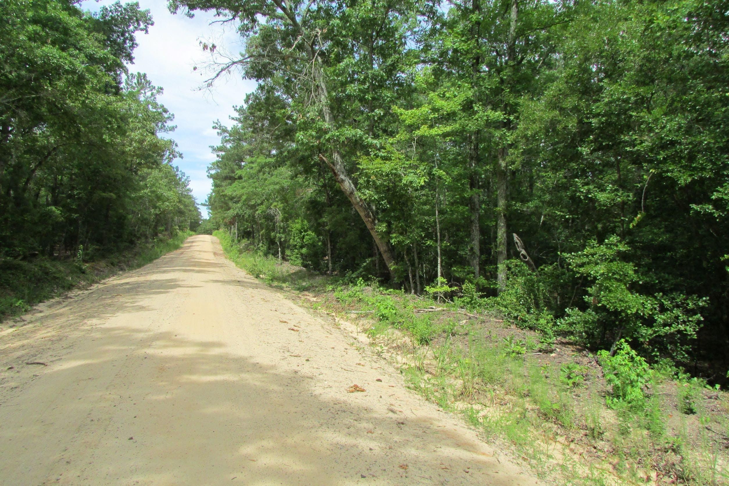 Ruby, Chesterfield County, SC Recreational Property, Timberland