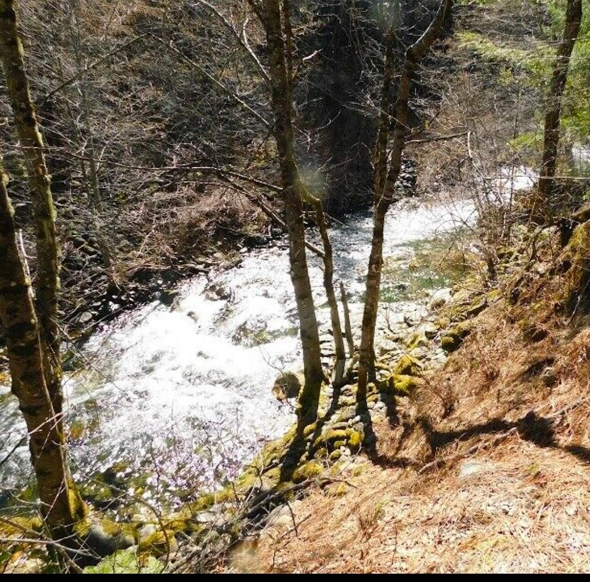 Mount Shasta, Siskiyou County, CA Recreational Property, Riverfront